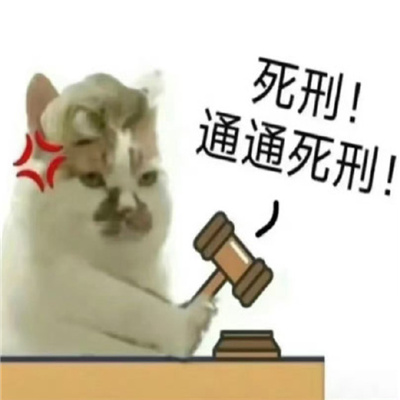 清汤大法官在线断案猫咪表情 你好小猫派出所