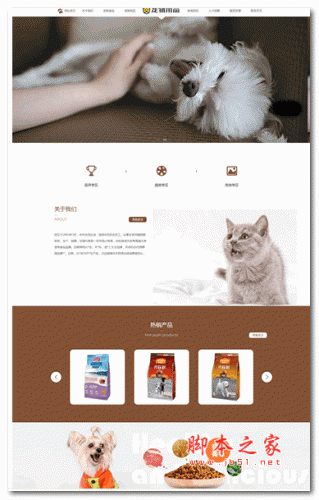 易优宠物用品网站源码 v1.6.3