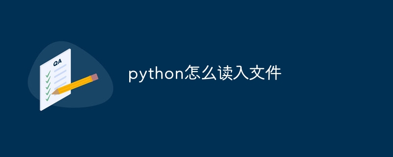 python怎么读入文件