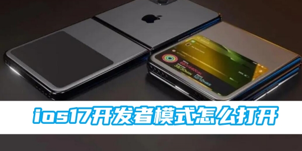 ios17开发者模式怎么打开 开发者模式打开方法