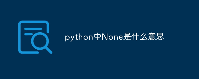 python中None是什么意思