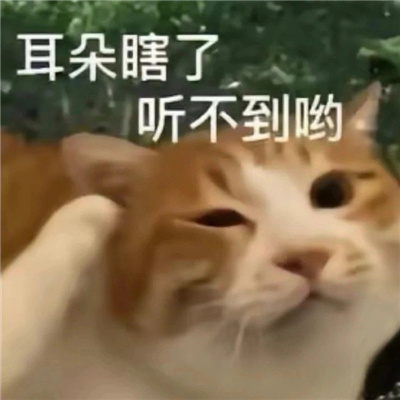 最近超爱的贱表情2024版 聊天必备的搞怪表情合集