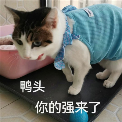 真实的又很快乐的表情 就你长了张嘴