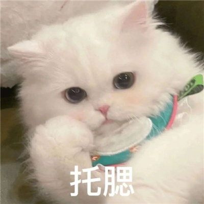 很炸裂的沙雕表情新版 收获到很多趣味的表情