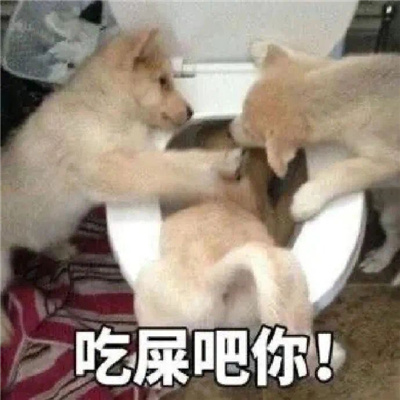 叶赫那拉氏那英表情合集 叶赫那拉氏一出手就知道有没有