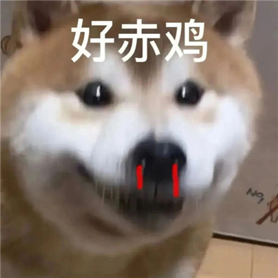 互联网冲浪的表情幽默 很有风趣的好笑表情大全