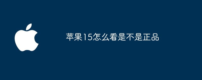 苹果15怎么看是不是正品