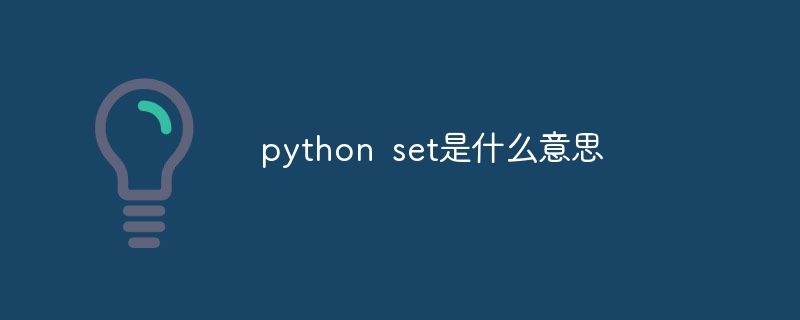 python的format的意思