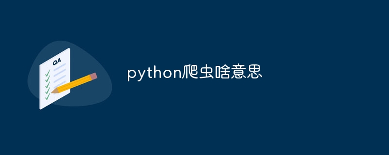 python爬虫啥意思