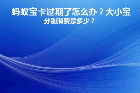  蚂蚁宝卡过期了怎么办？大小宝卡分别消费是多少？  