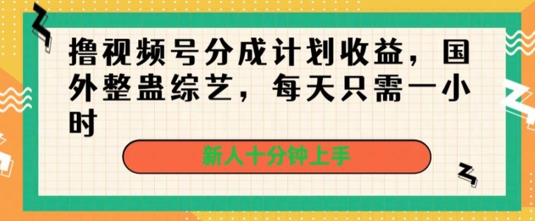 撸视频号分成计划收益，国外整蛊综艺，每天只需一小时，新人十分钟上手（只需,十分钟,上手,分成,整蛊....）