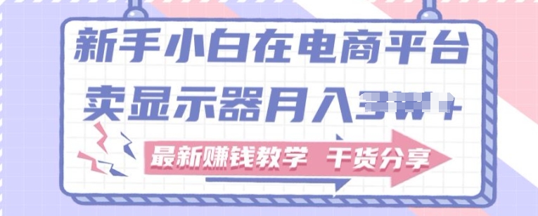 新手小白如何做到在电商平台卖显示器，最新赚钱教学干货分享（干货,显示器,赚钱,新手,教学....）