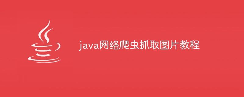 零基础java爬虫教程