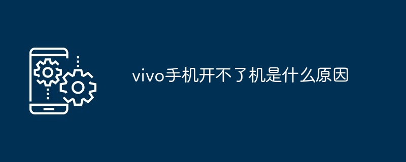 vivo手机开不了机是什么原因