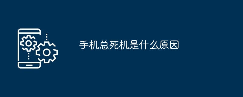 手机总死机是什么原因（死机.手机...）