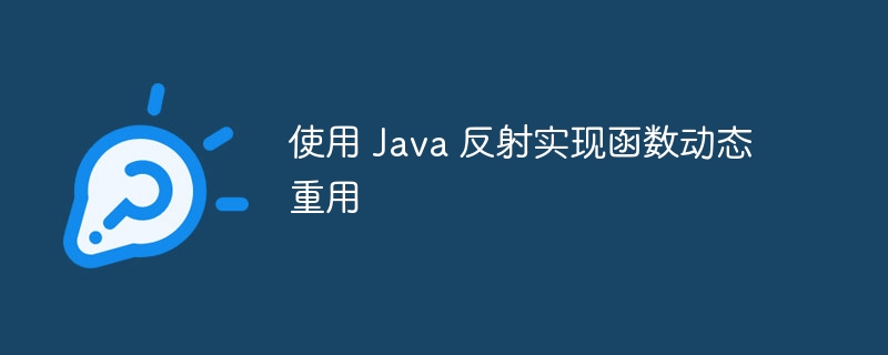 使用 Java 反射实现函数动态重用（重用.反射.函数.动态.Java...）