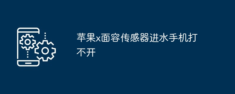 苹果x面容传感器进水手机打不开