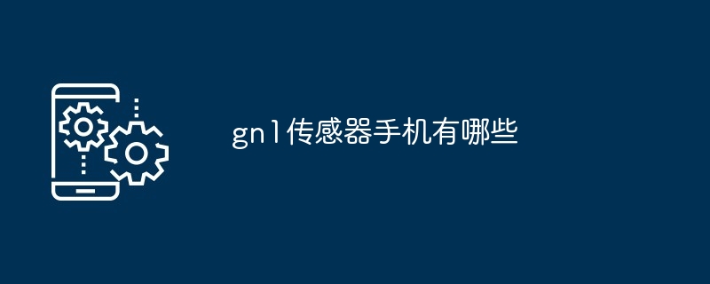 gn1传感器手机有哪些