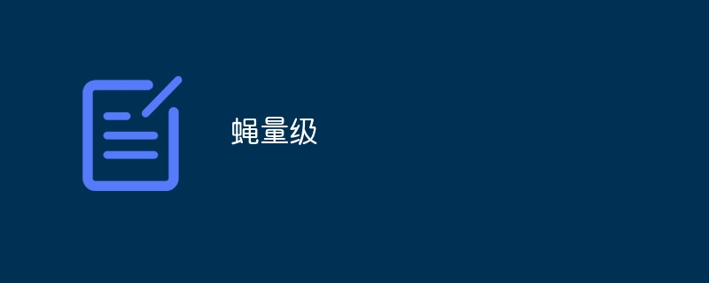 蝇量级（...）