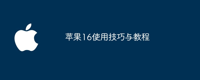 苹果16使用技巧与教程（使用技巧.苹果.教程）