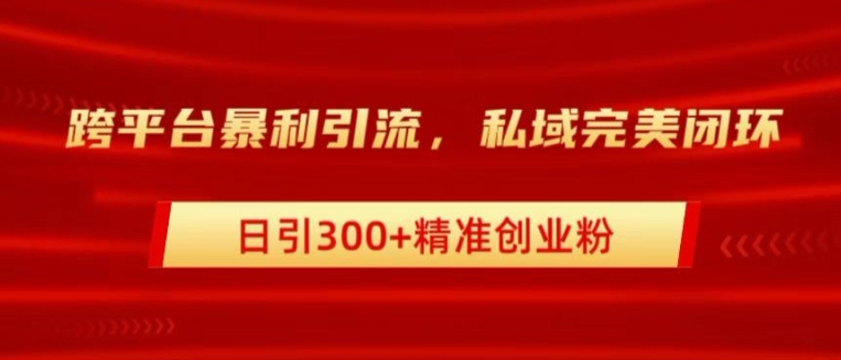 跨平台暴力引流，私域完美闭环，日引100+精准创业粉（闭环,引流,精准,暴力,完美....）