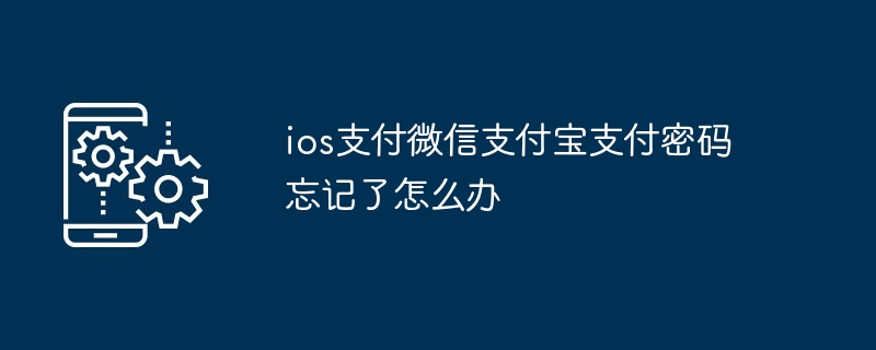ios支付微信支付宝支付密码忘记了怎么办（支付.支付宝.密码.忘记了.ios...）
