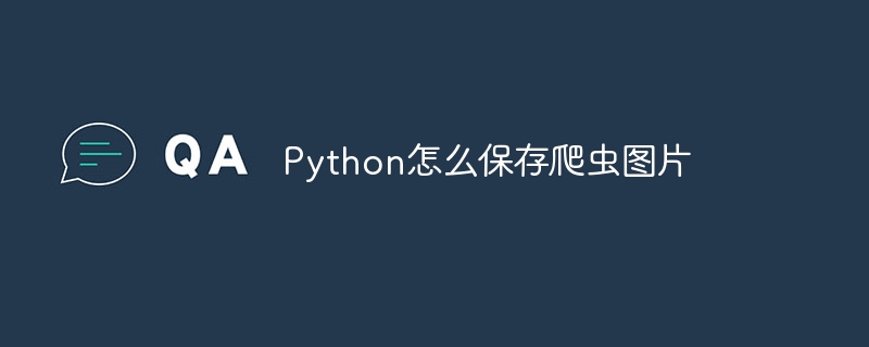 python爬虫软件怎么用（爬虫.软件.python...）