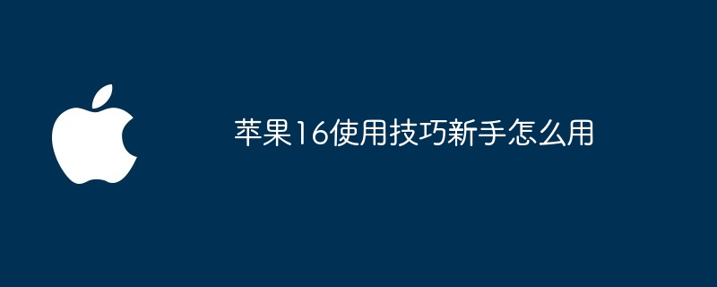 苹果16使用技巧新手怎么用（使用技巧.苹果.新手）