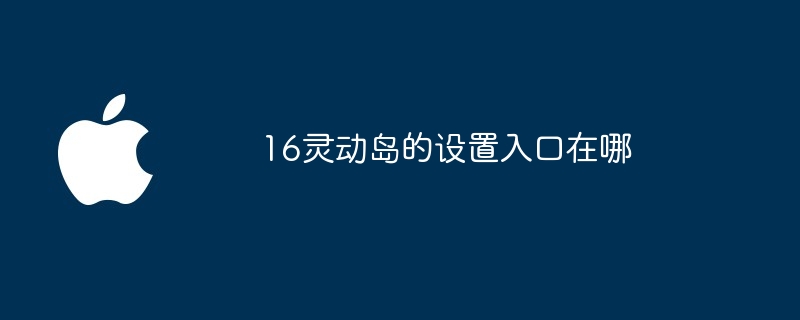 16灵动岛的设置入口在哪