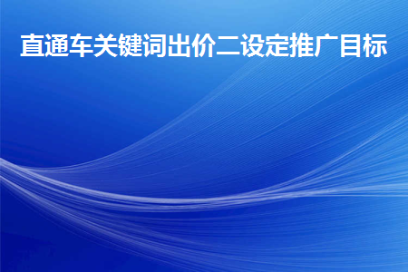 直通车关键词出价二设定推广目标 