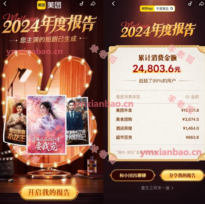 美团2024年查看年度消费报告