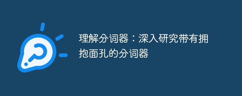 理解分词器：深入研究带有拥抱面孔的分词器（分词.面孔.带有.拥抱.理解...）