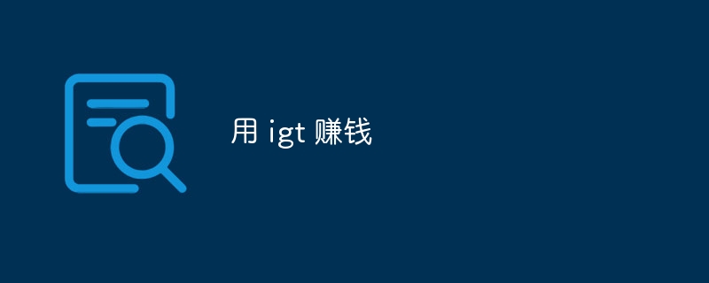 用 igt 赚钱（赚钱.igt...）