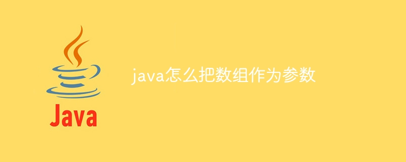 java怎么把数组作为参数（数组.参数.java...）