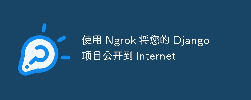 使用 Ngrok 将您的 Django 项目公开到 Internet（您的.公开.项目.Ngrok.Internet...）