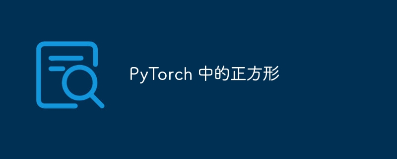 PyTorch 中的正方形（正方形.PyTorch...）