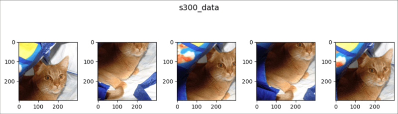 pytorch中的随机克罗普（1）（克罗.随机.pytorch...）