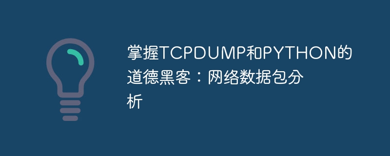 掌握TCPDUMP和PYTHON的道德黑客：网络数据包分析（数据包.黑客.道德.分析.网络...）