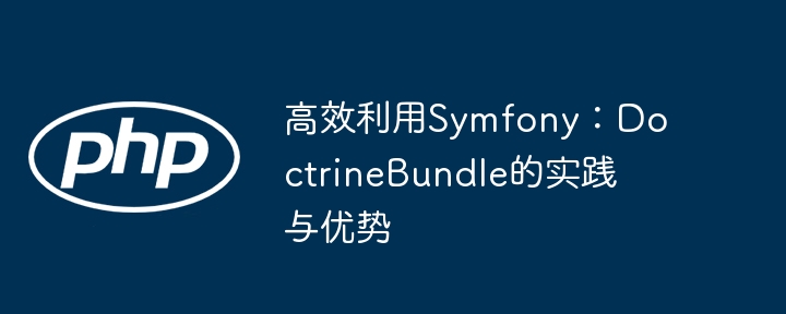 高效利用symfony：doctrinebundle的实践与优势