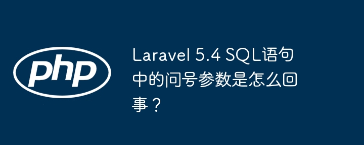 laravel 5.4 sql语句中的问号参数是怎么回事？