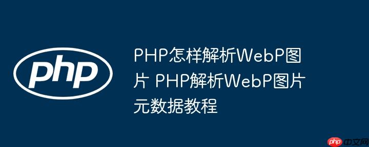 PHP怎样解析WebP图片 PHP解析WebP图片元数据教程（解析.图片.教程.数据.PHP...）