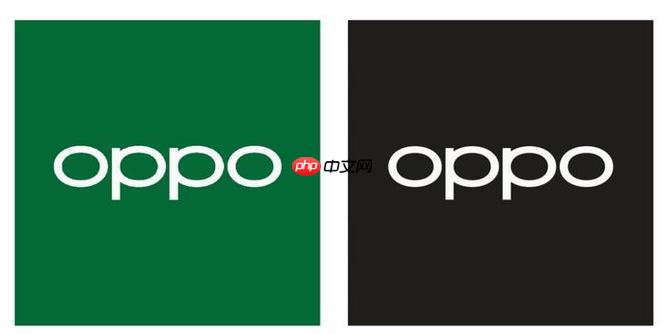 oppo手机忘记锁屏密码怎么办 oppo手机锁屏密码重置方法（密码.重置.手机）