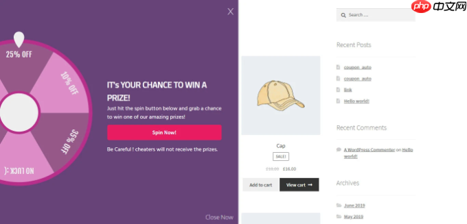 5 个最佳 WooCommerce Spin a Wheel 优惠券插件（比较）