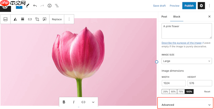 如何在 WordPress 中轻松为图像添加标题属性