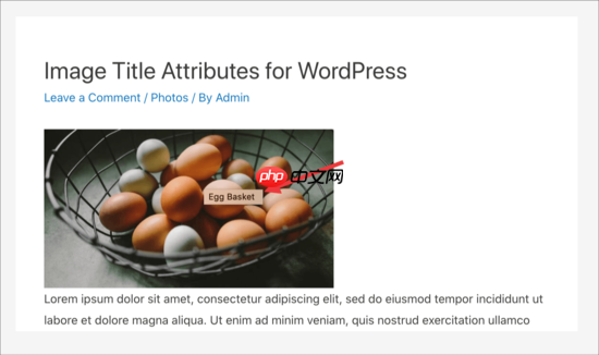 如何在 WordPress 中轻松为图像添加标题属性