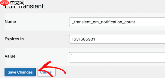 如何在 WordPress 中管理和删除瞬态（简单方法）