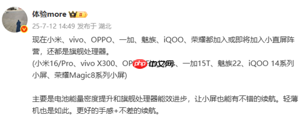 曝七大厂商将推出小直屏手机！不止小米、荣耀、魅族（荣耀.小米.魅族）