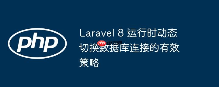 Laravel 8 运行时动态切换数据库连接的有效策略（数据库连接.切换.策略.运行.动态...）