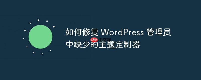 如何修复 WordPress 管理员中缺少的主题定制器